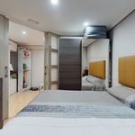 Rent 4 bedroom apartment in Barakaldo