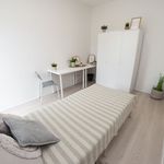 Rent a room of 75 m² in Brno