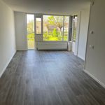 Rent 2 bedroom apartment in Munstergeleen