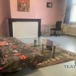Rent 1 bedroom apartment in Tourcoing