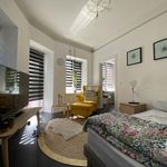 Rent 2 bedroom apartment of 28 m² in Colmar
