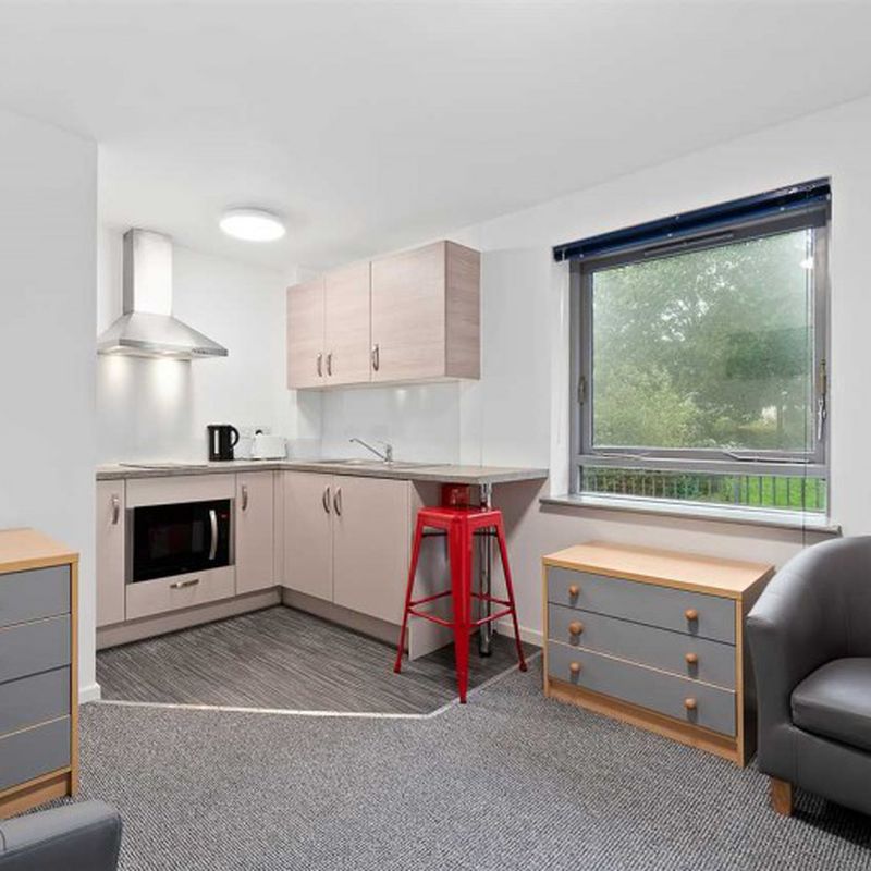 Emmanuel House, Studio 3, 179 North Road West, Plymouth, 1 bedroom, Apartment Pennycomequick
