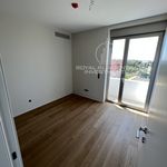Rent 3 bedroom house of 20500 m² in Aerodromio