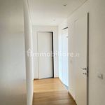 Rent 4 bedroom apartment of 150 m² in Mantova