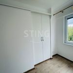 Rent 3 bedroom apartment of 63 m² in Ostrava