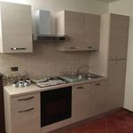 Affitto 1 camera appartamento di 60 m² in Torino
