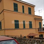 Affitto 4 camera casa di 100 m² in Monte Porzio Catone