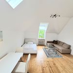 Rent 3 bedroom apartment of 38 m² in Wiesbaden