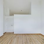 Huur 4 slaapkamer huis van 300 m² in Arlon
