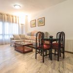 Rent 2 bedroom apartment of 70 m² in Badajoz