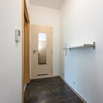 Rent 4 bedroom apartment of 100 m² in Prague