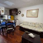 Rent 2 bedroom apartment of 50 m² in Nettuno