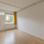 Rent 2 bedroom apartment of 71 m² in Amsterdam