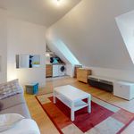 Appartement de 28 m² avec 1 chambre(s) en location à Maisons-Alfort