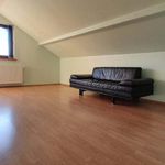 Rent 1 bedroom house of 487 m² in Mierzyn