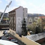 Rent 8 bedroom apartment in Praha