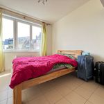  appartement avec 1 chambre(s) en location à Nivelles