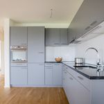Rent 4 bedroom apartment of 102 m² in Altstätten