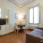 Rent 1 bedroom apartment of 38 m² in Florence