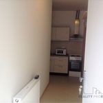 Rent 20 bedroom apartment in Brno