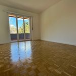 Rent 1 bedroom apartment of 39 m² in Lugano