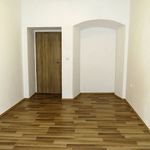Rent 1 bedroom apartment of 67 m² in Žatec