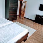 Rent 2 bedroom apartment of 50 m² in Schweinfurt