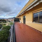 Rent 2 bedroom house of 45 m² in Palermo