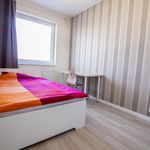 Rent 3 bedroom apartment of 68 m² in Lodz