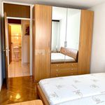 Najam 3 spavaće sobe stan od 84 m² u Rijeka