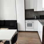 Rent 2 bedroom apartment of 36 m² in Jihlava