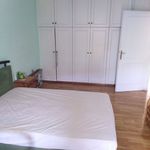 Ενοικίαση 3 υπνοδωμάτιο σπίτι από 400 m² σε Argyroupoli