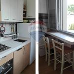 Rent 4 bedroom apartment of 50 m² in Viareggio