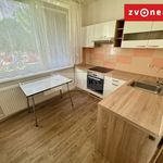 Rent 2 bedroom apartment of 35 m² in Zlín