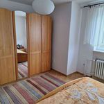 Rent 1 bedroom house of 1000 m² in Číhošť