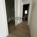 Rent 2 bedroom apartment in Murcia