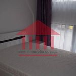 Rent 1 bedroom apartment of 77 m² in Legnica