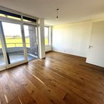 Rent 4 bedroom apartment of 220 m² in Zenderen