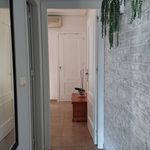 Rent 1 bedroom house of 55 m² in Guardamar del Segura
