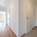 Rent 3 bedroom apartment of 75 m² in Auersthal