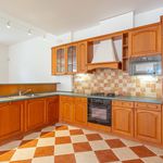 Rent 3 bedroom apartment of 225 m² in Brno