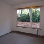 Rent 3 bedroom house in Kalmthout