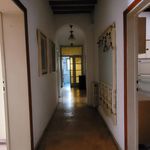 Rent 6 bedroom apartment of 150 m² in Pisa