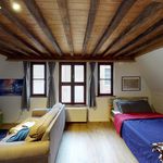 Rent 4 bedroom house of 209 m² in Antwerp