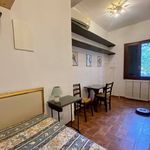 Rent 3 bedroom apartment of 81 m² in Firenze