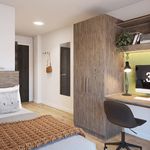 Rent 1 bedroom student apartment of 15 m² in Brighton