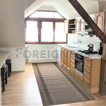 Rent 2 bedroom apartment of 110 m² in Brno