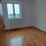 Rent 4 bedroom apartment of 83 m² in Bad Traunstein