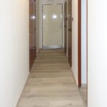 Rent 3 bedroom apartment of 64 m² in Chrudim