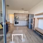Rent 1 bedroom house in Brno